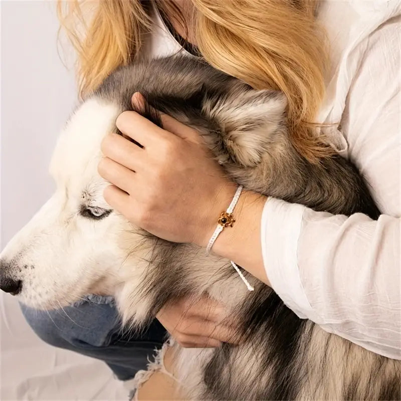 Bracelet de cordons de mémoire pour animaux de compagnie